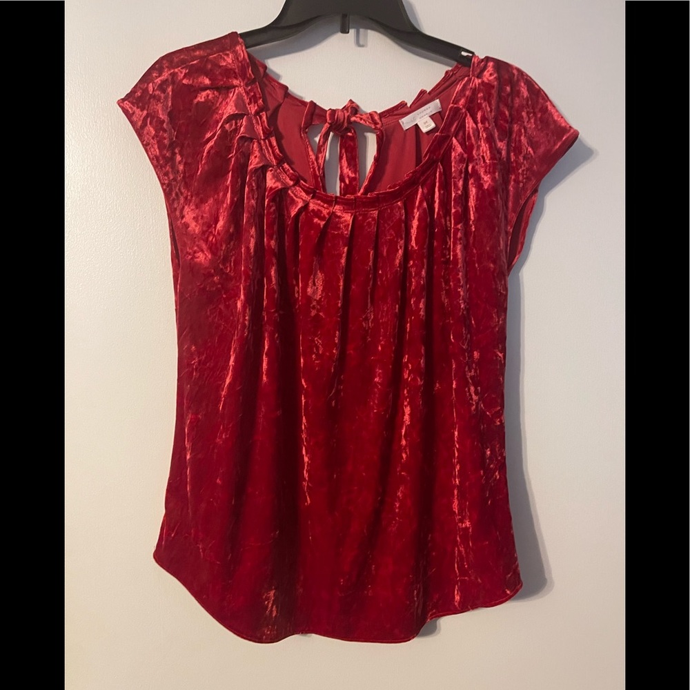 Lauren Conrad Hot Pink/Red Velvet Blouse